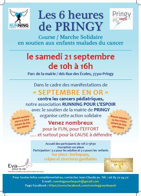 Affiche Les 6 heures de Pringy