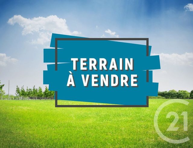 terrain - PRINGY - 77