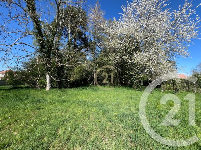 maison à vendre - 8 pièces - 234.2 m2 - CELY EN BIERE - 77 - ILE-DE-FRANCE - Century 21 Domaine Du Parc