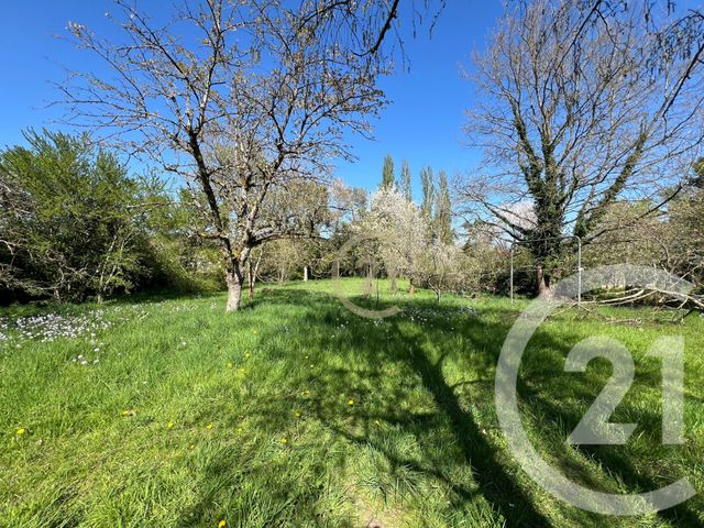 maison à vendre - 8 pièces - 234.2 m2 - CELY EN BIERE - 77 - ILE-DE-FRANCE - Century 21 Domaine Du Parc