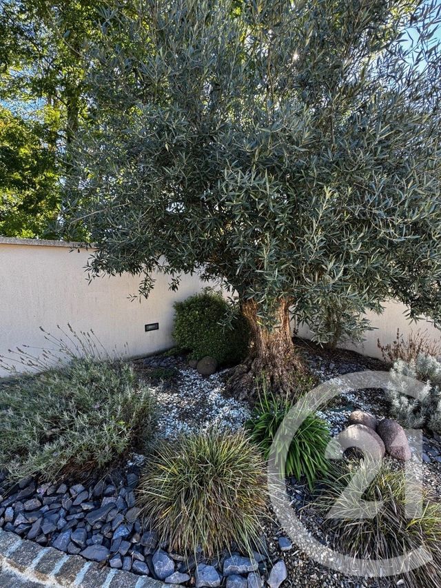 maison à vendre - 7 pièces - 148.4 m2 - ST SAUVEUR SUR ECOLE - 77 - ILE-DE-FRANCE - Century 21 Domaine Du Parc