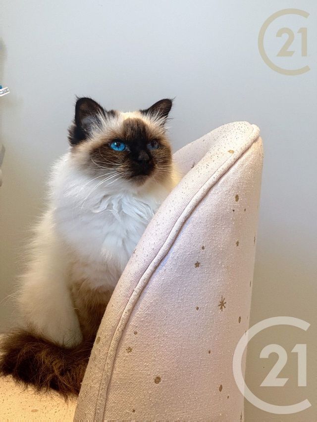 maison à vendre - 7 pièces - 148.4 m2 - ST SAUVEUR SUR ECOLE - 77 - ILE-DE-FRANCE - Century 21 Domaine Du Parc