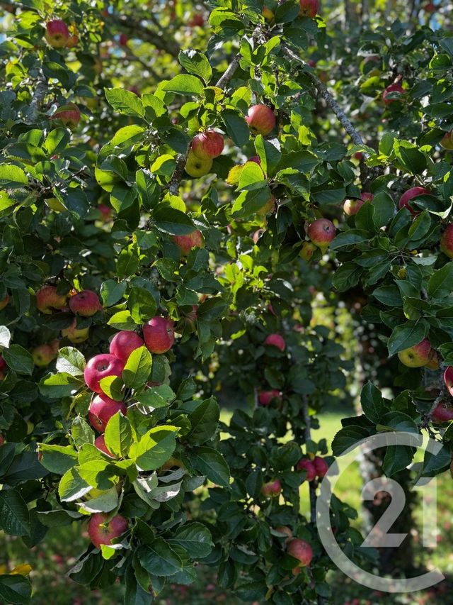 maison à vendre - 9 pièces - 204.12 m2 - PERTHES - 77 - ILE-DE-FRANCE - Century 21 Domaine Du Parc